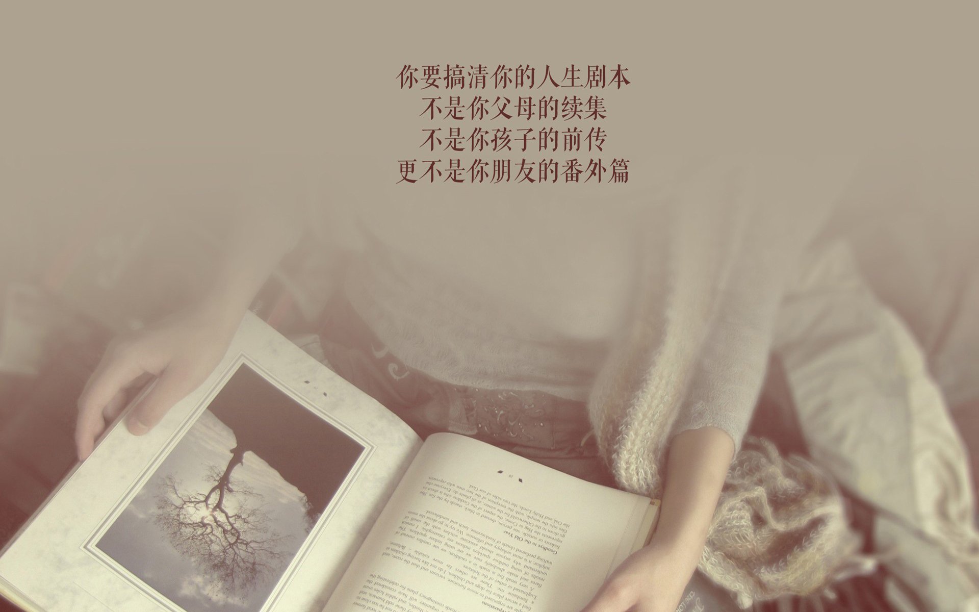 2026世界杯最矮球员：小个子的大能量，世界杯最小参赛年龄